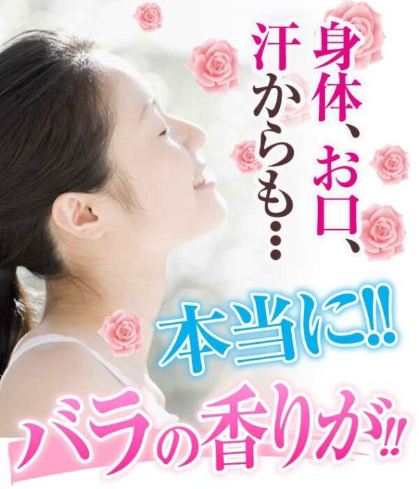 バラのイメージ