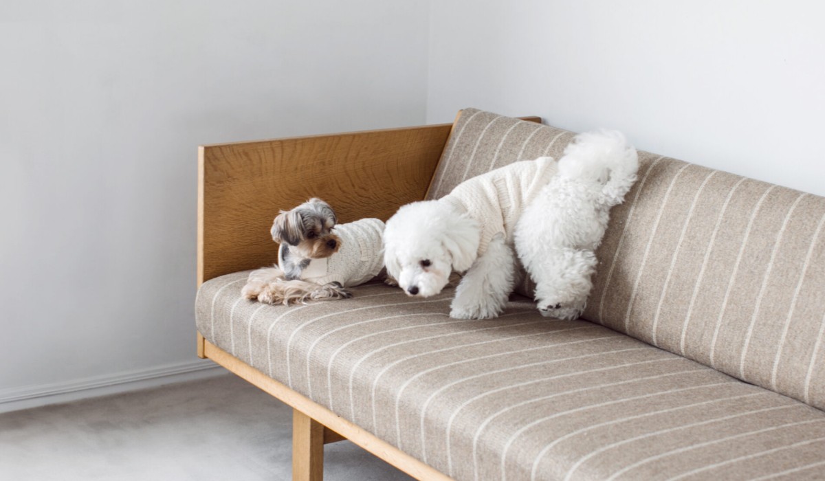 free stitch（フリーステッチ）